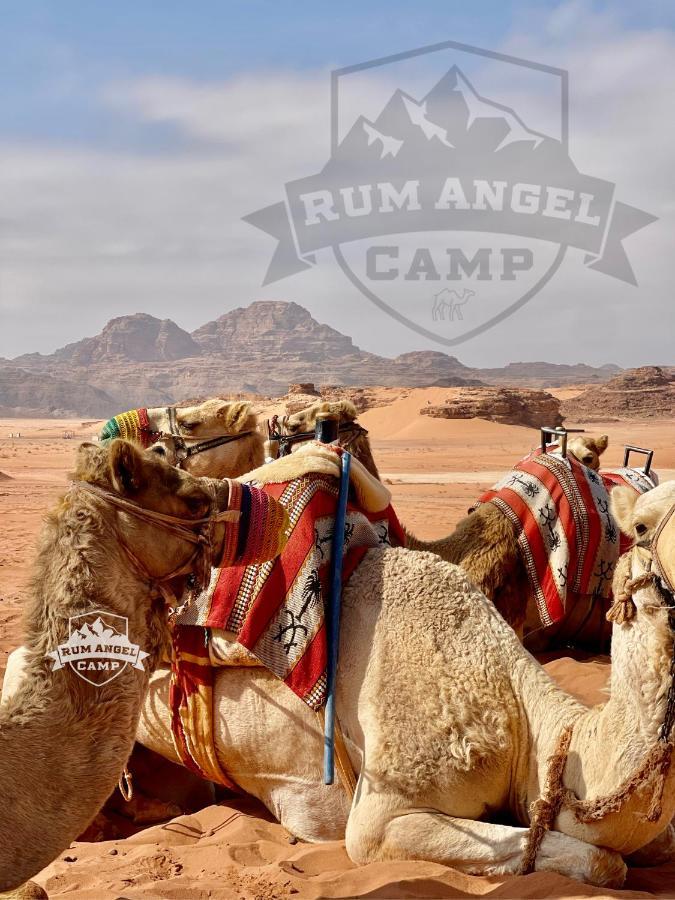 Rum Angel Camp Wadi Rum Eksteriør bilde