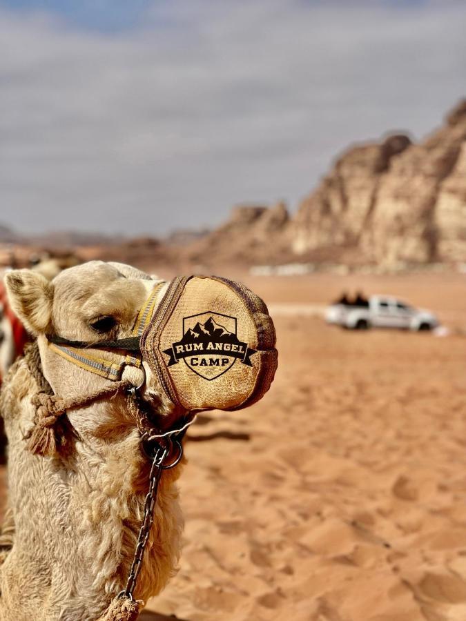 Rum Angel Camp Wadi Rum Eksteriør bilde