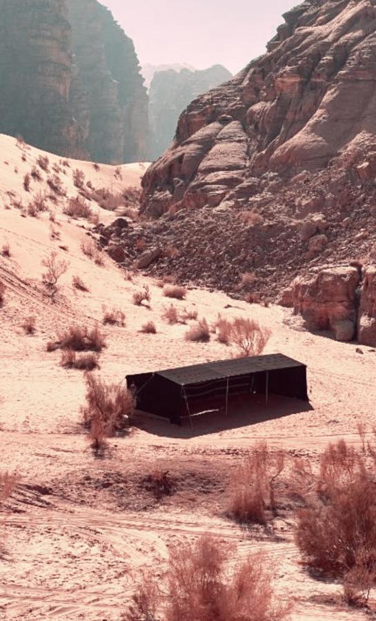 Rum Angel Camp Wadi Rum Eksteriør bilde