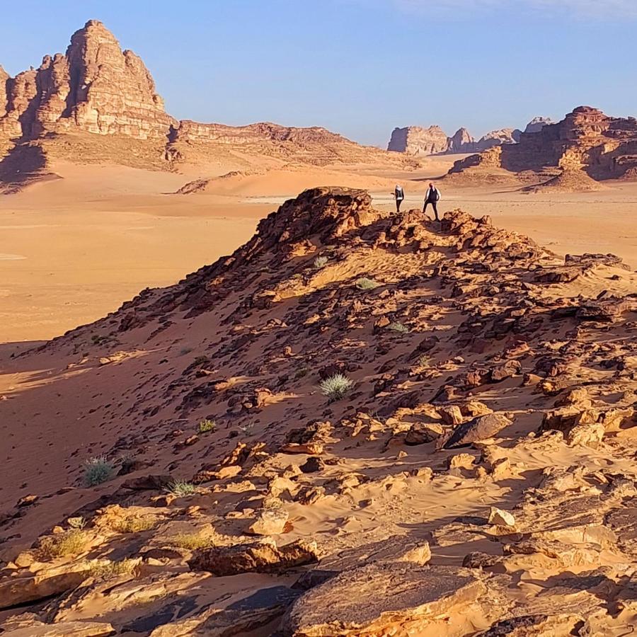Rum Angel Camp Wadi Rum Eksteriør bilde